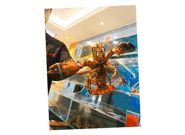 【時代儒商】膠東碼頭海鮮城淮揚菜、魯菜、海鮮超多美味！滿足您的味蕾~~