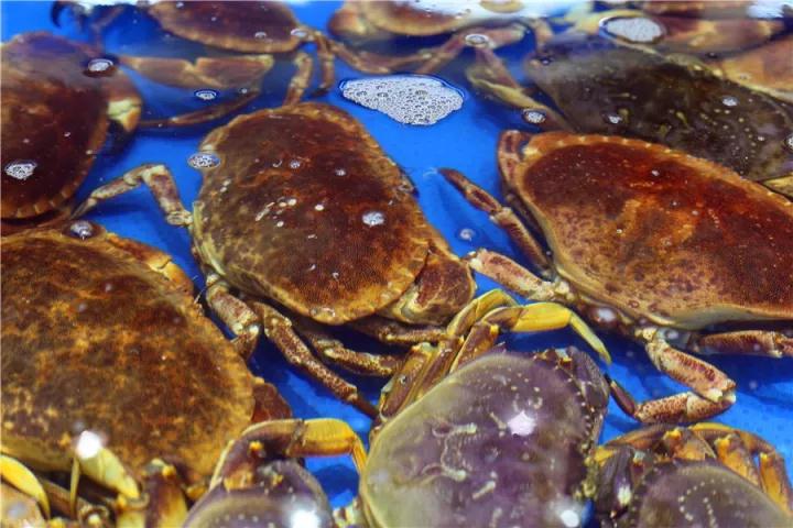 【時代儒商】膠東碼頭海鮮城淮揚菜、魯菜、海鮮超多美味！滿足您的味蕾~~