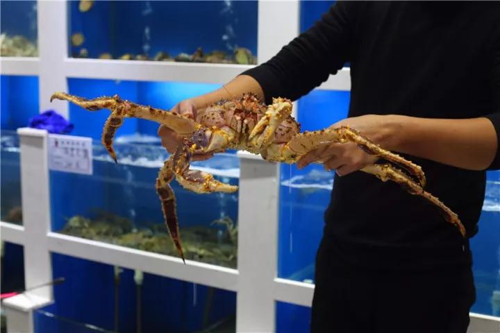 【時代儒商】膠東碼頭海鮮城淮揚菜、魯菜、海鮮超多美味！滿足您的味蕾~~