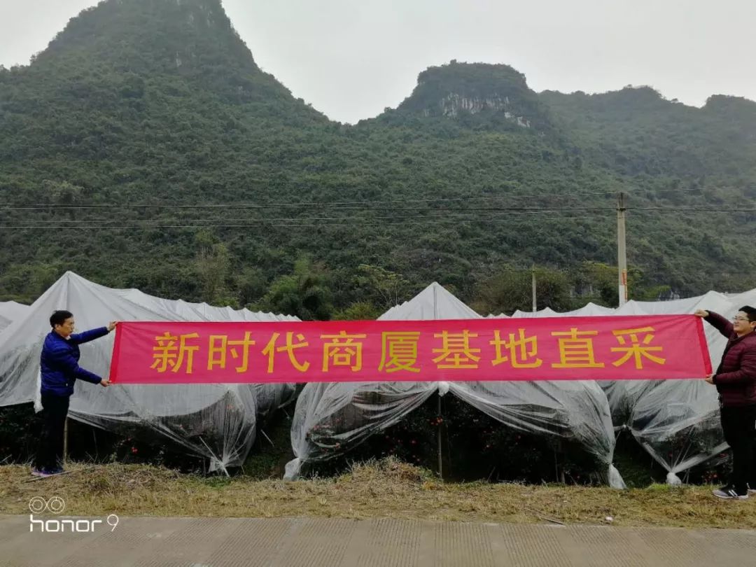 新時(shí)代商廈｜誠信315 信用讓消費(fèi)更放心！