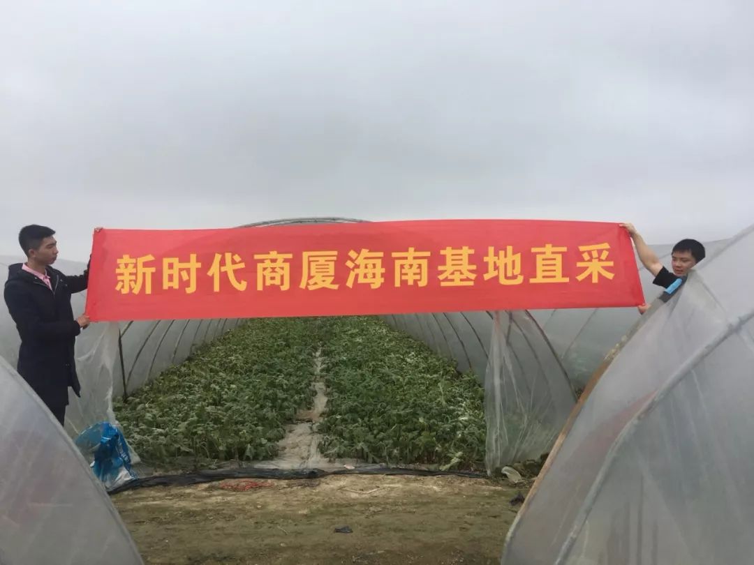 新時(shí)代商廈｜誠信315 信用讓消費(fèi)更放心！